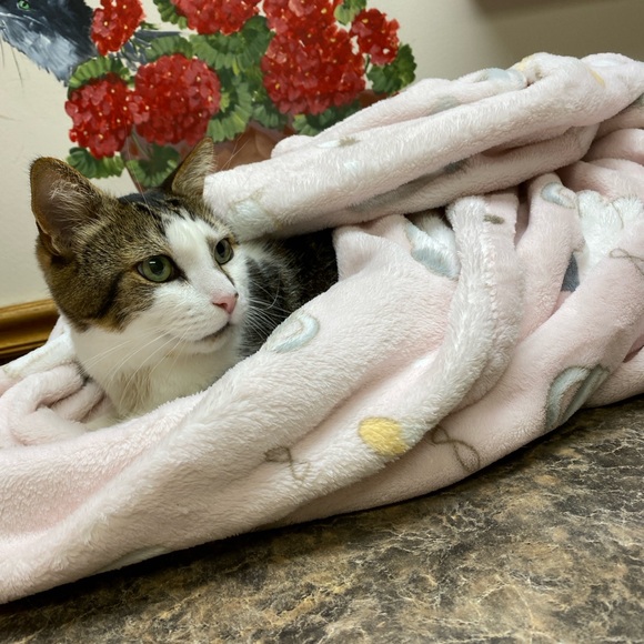 Meet Wendy, a Posh Ambassador! - Picture 14 of 16